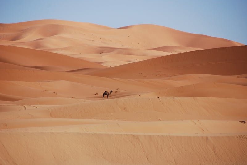 Moroccan Cuisine
